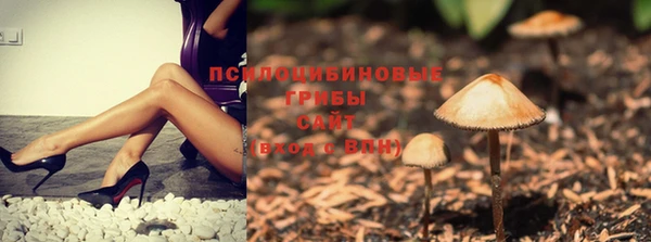 МДПВ Касимов