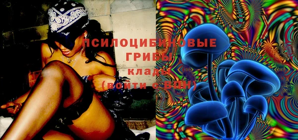 молекула духа Инта
