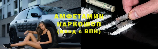 индика Иннополис