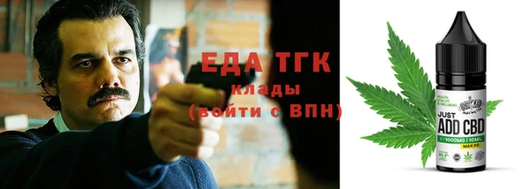 индика Иннополис