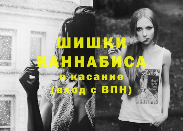 индика Иннополис