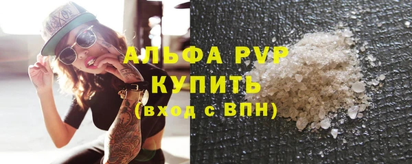 индика Иннополис
