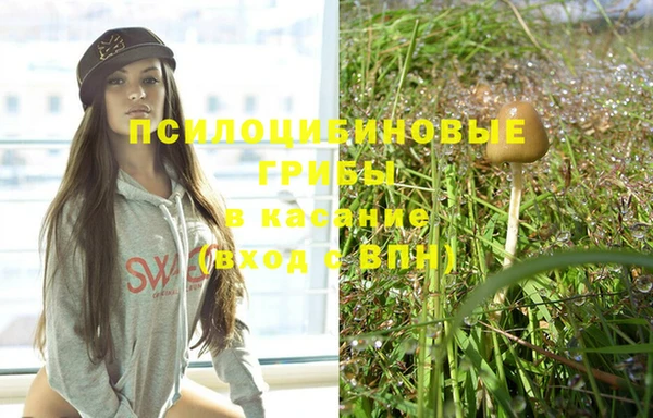 индика Иннополис